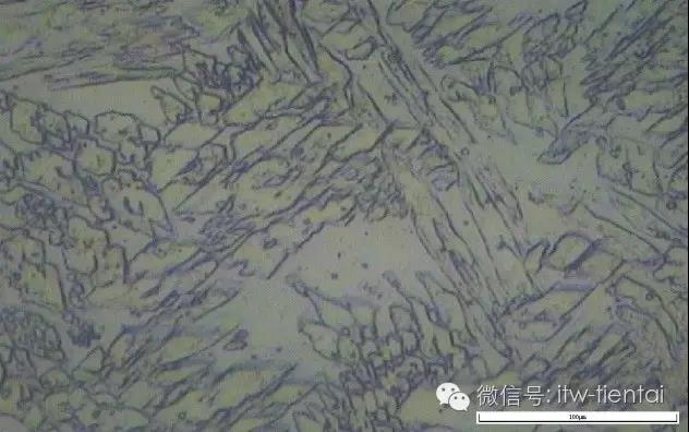 zoty中欧·(中国)体育官方网站