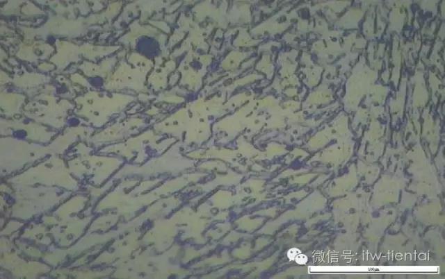 zoty中欧·(中国)体育官方网站