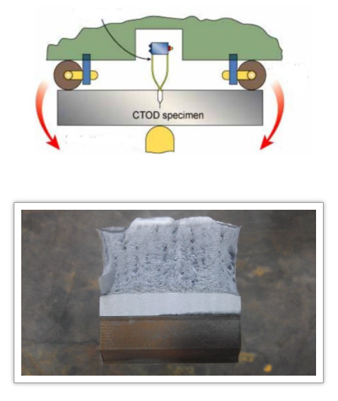 zoty中欧·(中国)体育官方网站